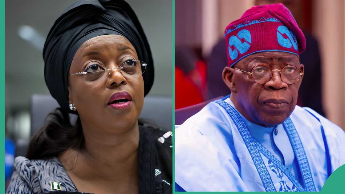 Reason Nigerian govt is yet to prosecute Diezani