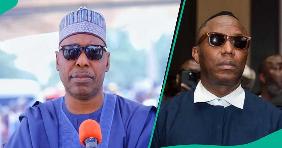 Zarge-zargen Sowore kan gwamna Zulum