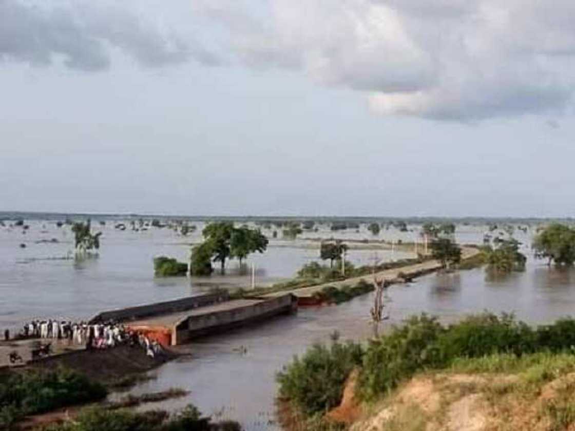 Hotuna: Ambaliyar ruwa ta kashe mutum 4 a Zamfara, ta kwashe gada a Sokoto Hotuna: Ambaliyar ruwa ta kashe mutum 4 a Zamfara, ta kwashe gada a Sokoto