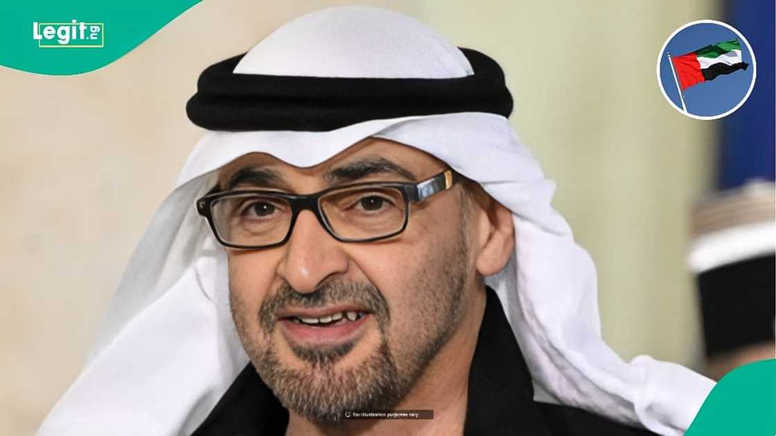 UAE lists 4 reasons companies may face suspension of new work permits
