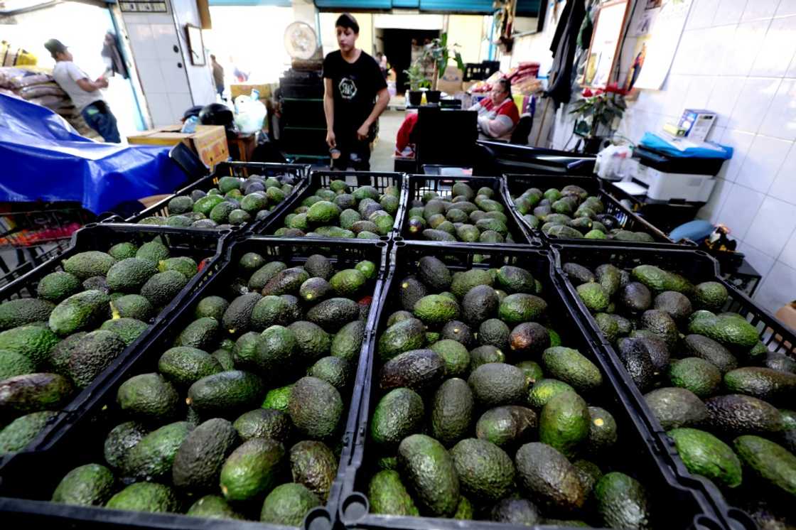 Mexico and Canada are major suppliers of US agricultural products Mexico and Canada are major suppliers of US agricultural products