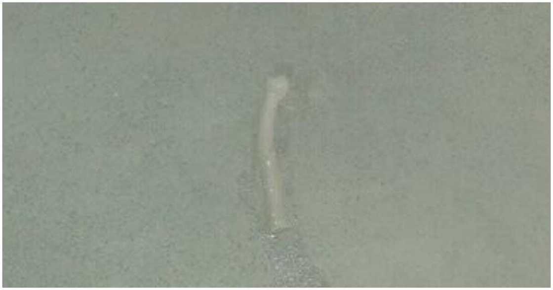 Labarin wata mata da tsutsotsi ke fita daga jikin ta kullum a Najeriya Labarin wata mata da tsutsotsi ke fita daga jikin ta kullum a Najeriya