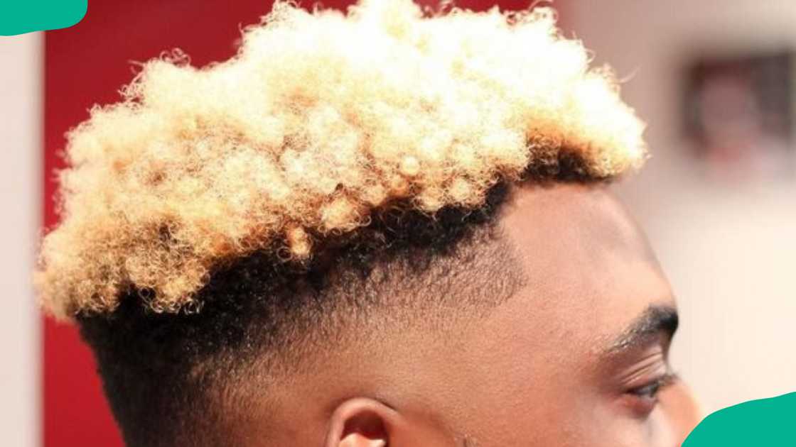 Blonde afro curls for men Blonde afro curls for men