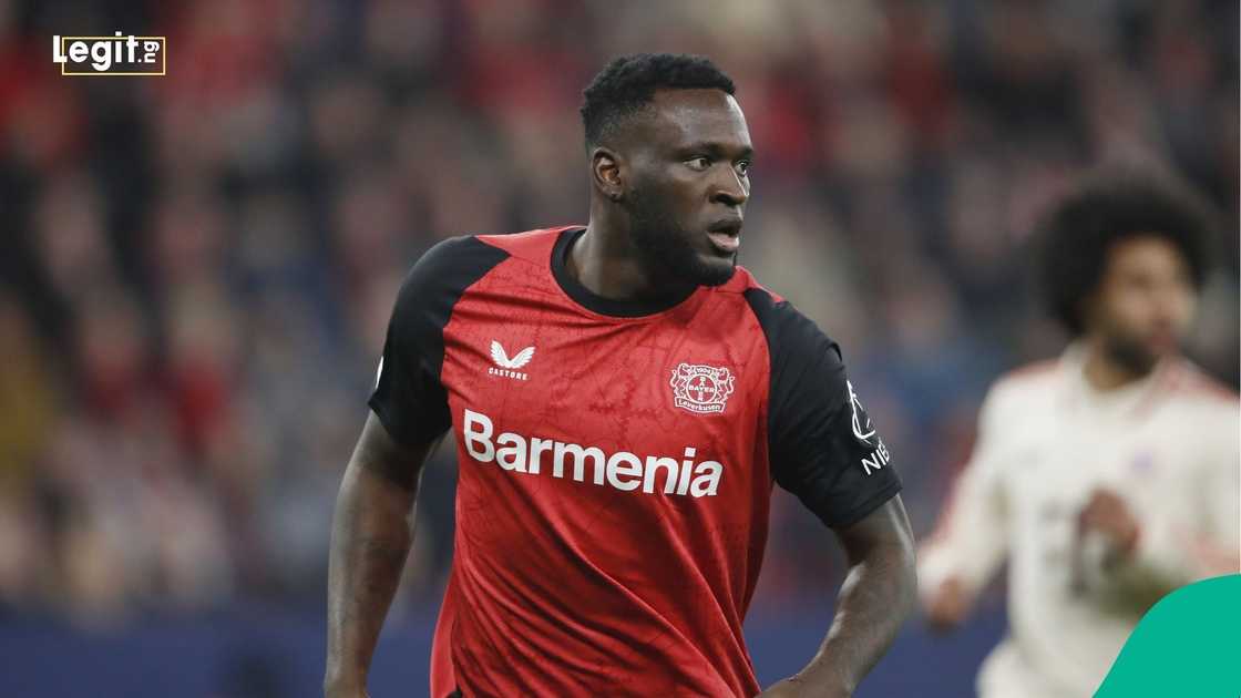 Super Eagles, Victor Boniface, AC Milan, Serie A, Nigeria, Italy. Super Eagles, Victor Boniface, AC Milan, Serie A, Nigeria, Italy.