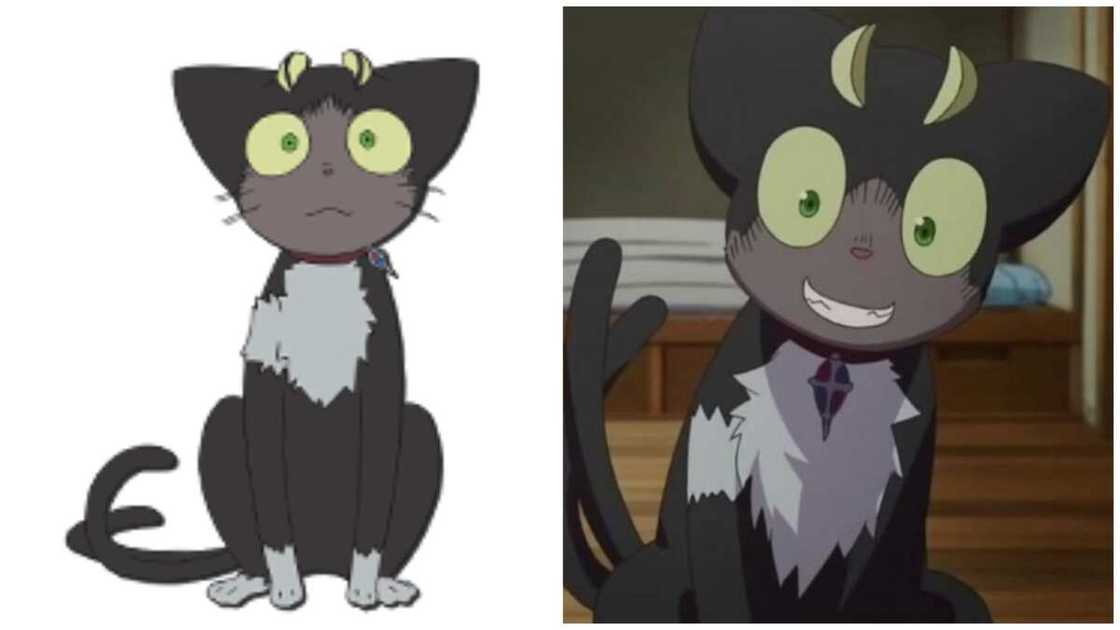cat anime characters cat anime characters