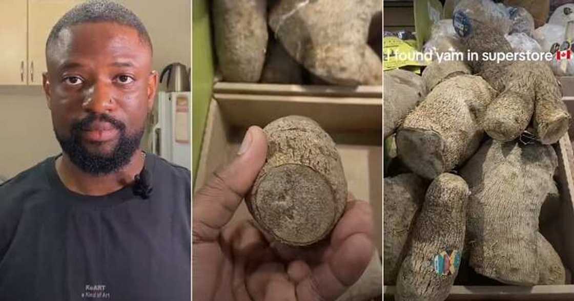 Nigerian man laments over cost of yams in Canada Nigerian man laments over cost of yams in Canada