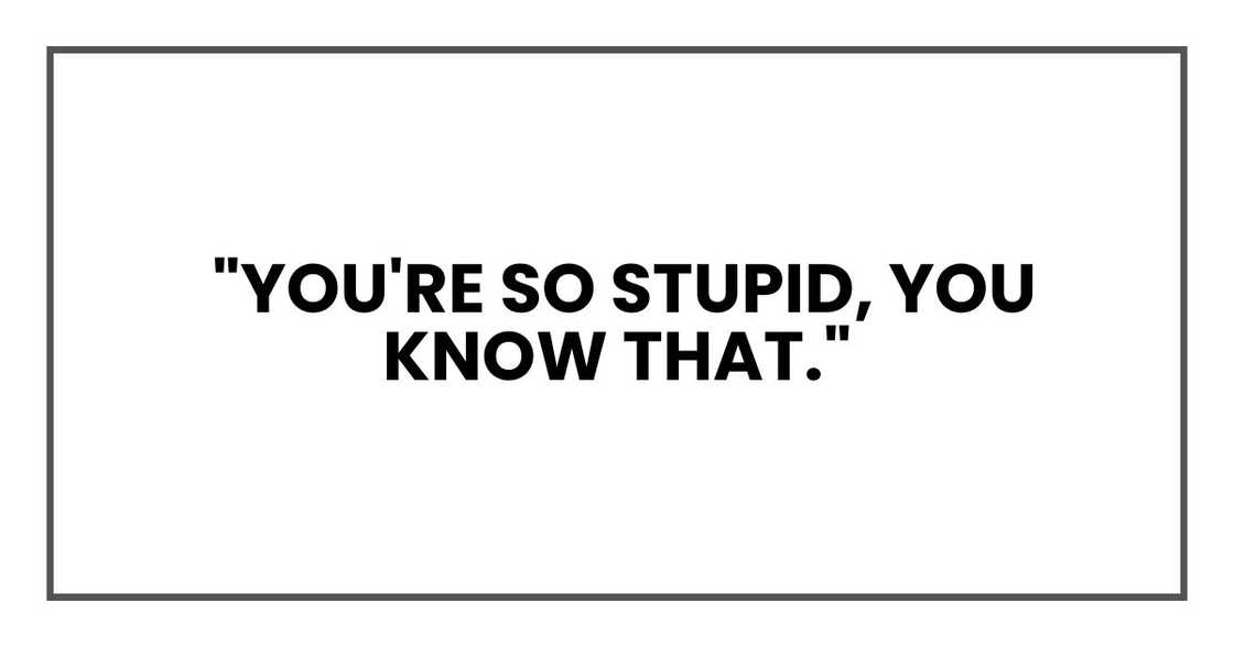 You're so stupid, you know that. You're so stupid, you know that.