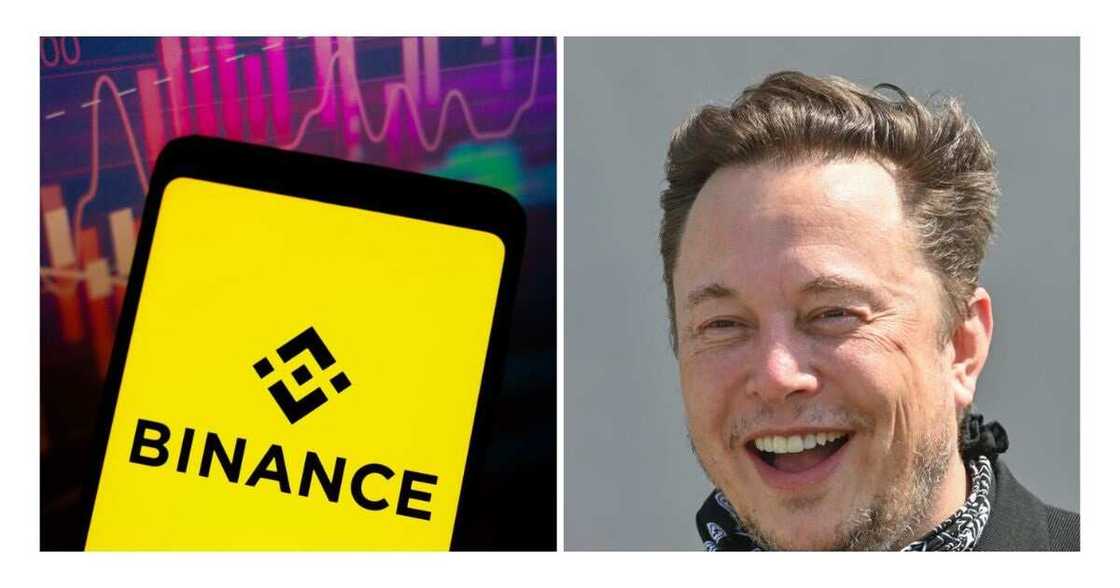 Twitter, Binance, Elong Musk Twitter, Binance, Elong Musk