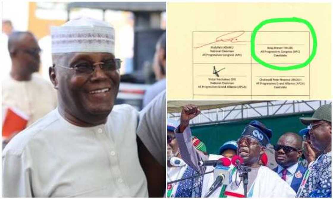 Atiku, document, Tinubu