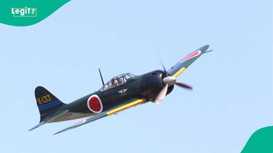 Light Plane Crash Kills Pilot at White Cliffs, Authorities Confirm Light Plane Crash Kills Pilot at White Cliffs, Authorities Confirm