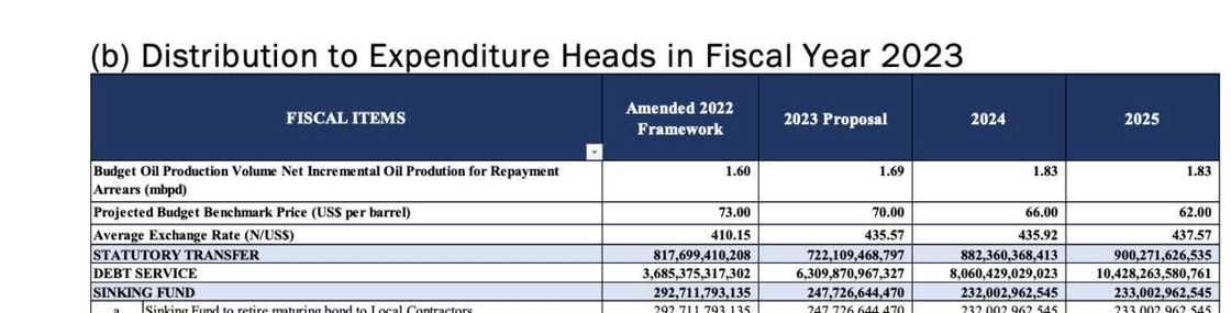 debt service debt service