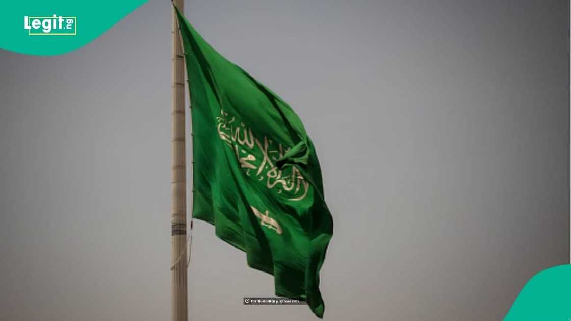 Saudi Arabia reveals 7 countries eligible for tourism visa, hints at more additions Saudi Arabia reveals 7 countries eligible for tourism visa, hints at more additions