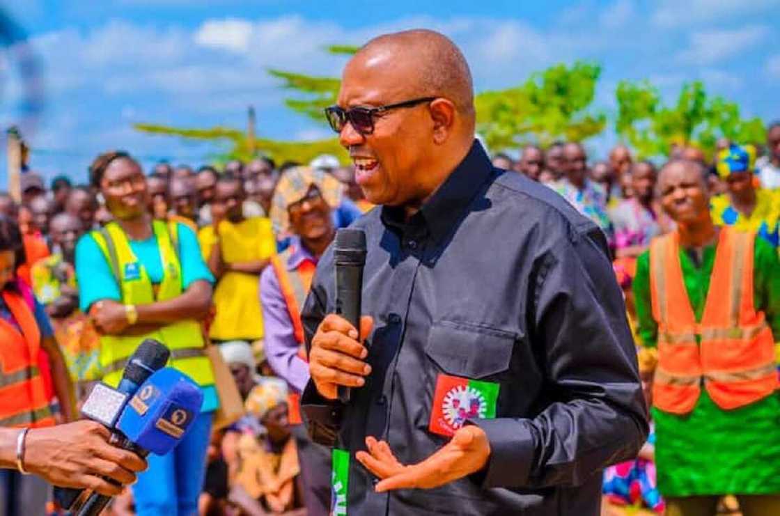 Peter obi, United Kingdom, Britain, British government, Commonwealth Peter obi, United Kingdom, Britain, British government, Commonwealth