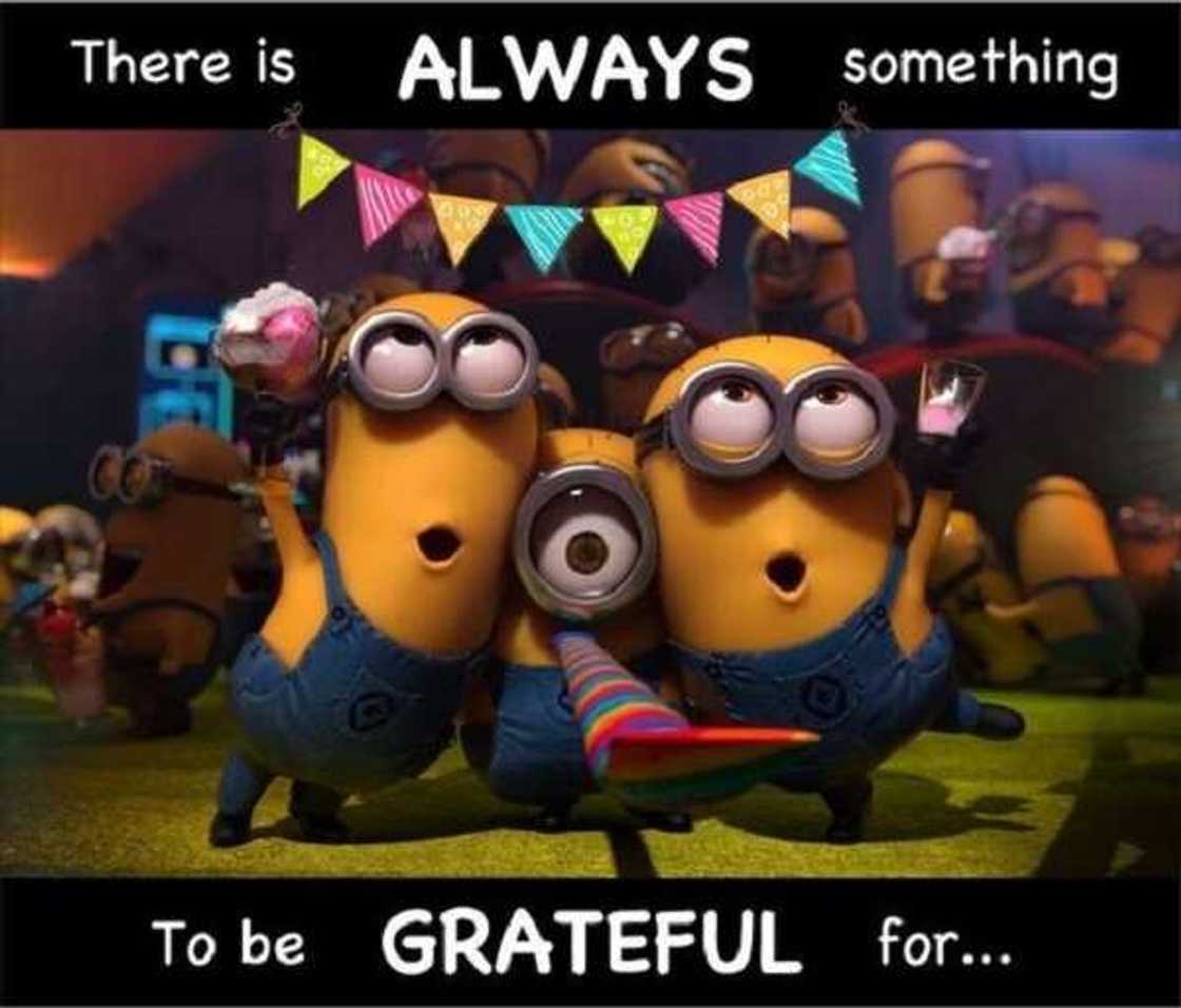 facebook minion memes facebook minion memes