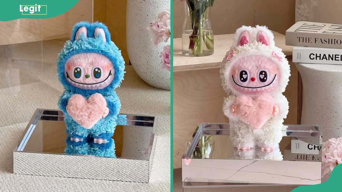 Preserved Flower Labubu Set