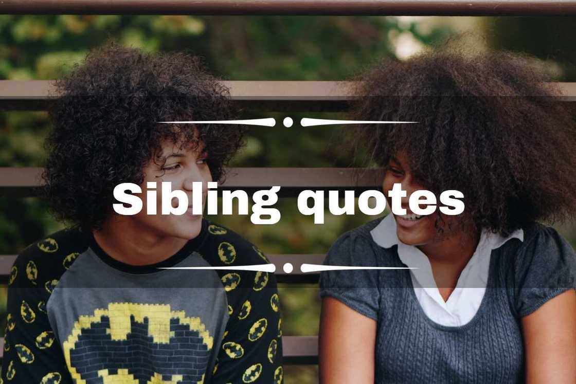 Sibling quotes Sibling quotes
