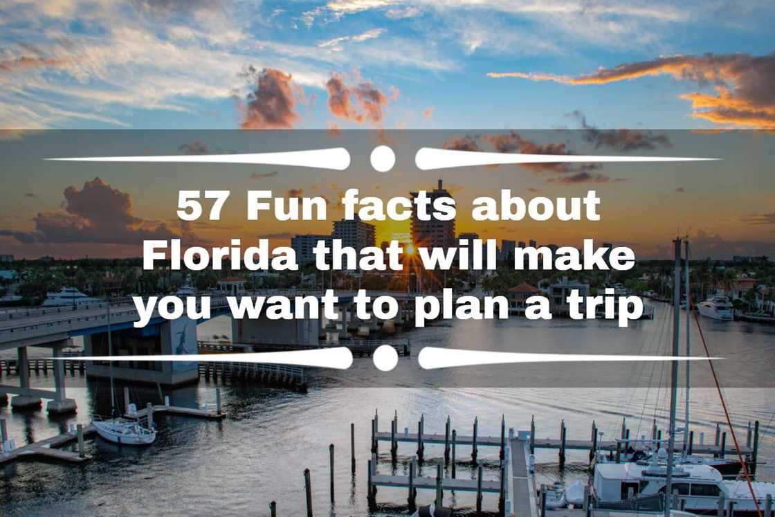 Fun facts about Florida Fun facts about Florida
