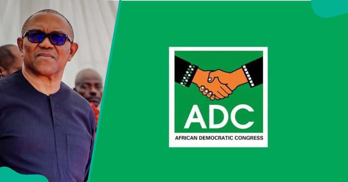 The ADC and Obidient Movement are at odds, according to a newly leaked memo.