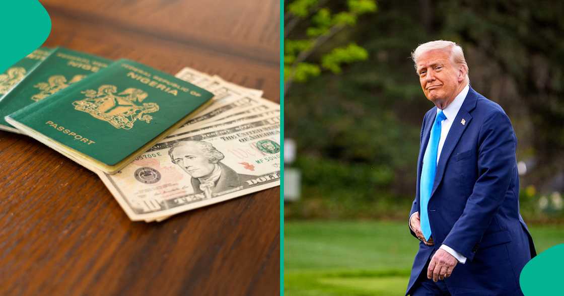 Nigerian H-1B visa approvals in the US have surged to a record high in Fiscal Year 2024. Nigerian H-1B visa approvals in the US have surged to a record high in Fiscal Year 2024.