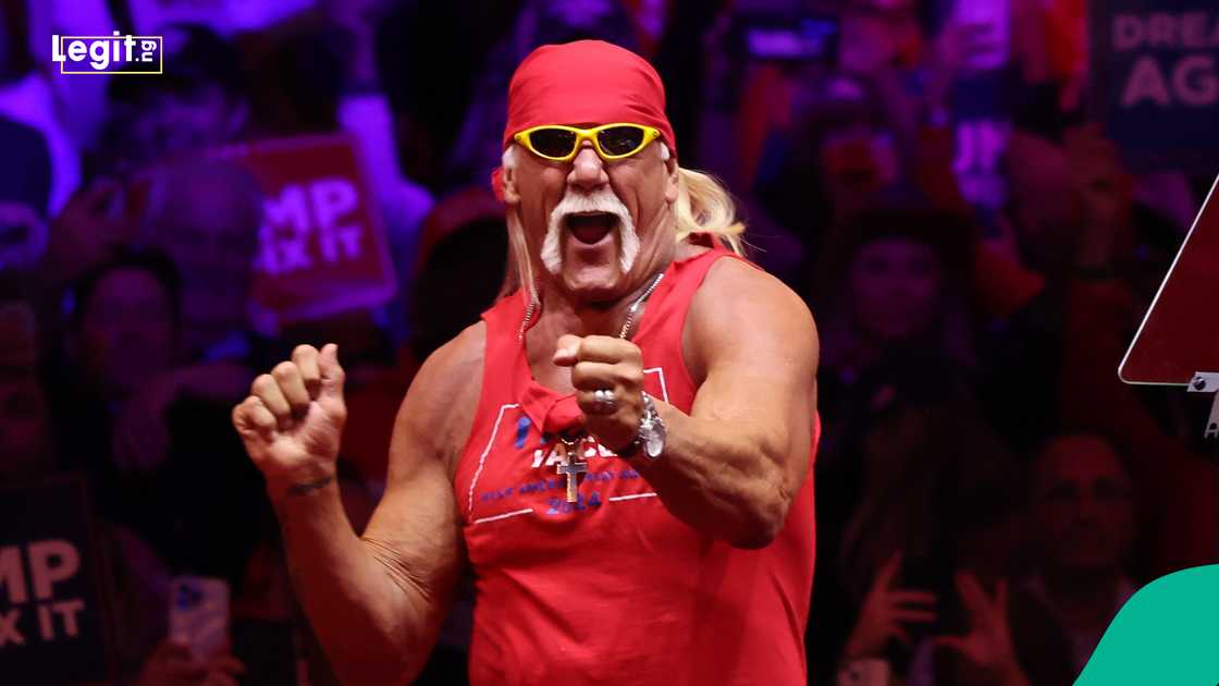 World Wrestling Entertainment, Hulk Hogan, Florida, USA, WWE, Wrestling
