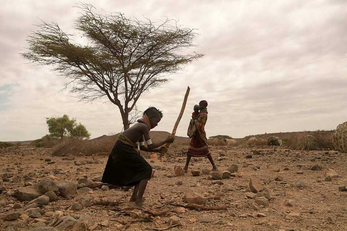 At least 18 million people across the Horn of Africa are facing severe hunger as the worst drought in 40 years devastates the region At least 18 million people across the Horn of Africa are facing severe hunger as the worst drought in 40 years devastates the region