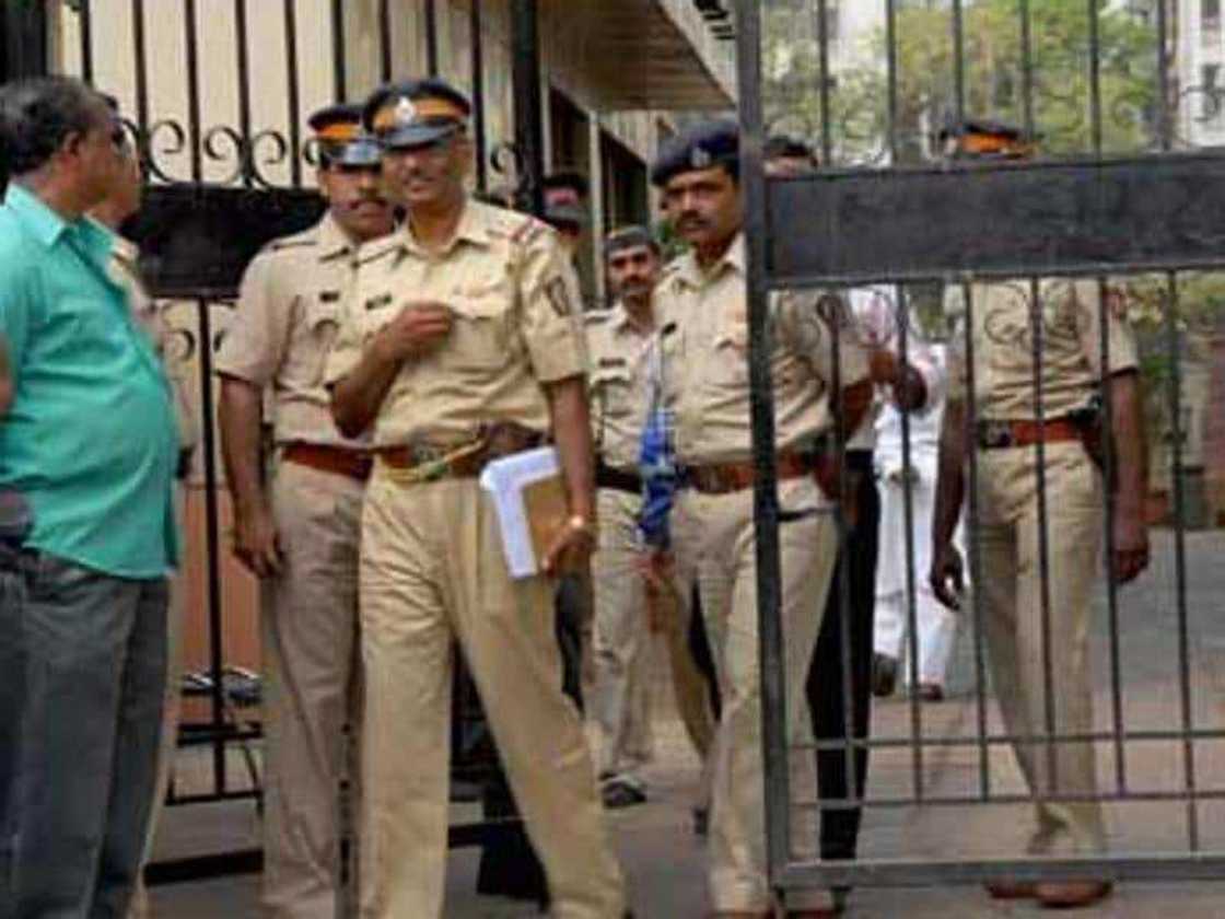 Caji Ofis din Bogi Caji Ofis din Bogi