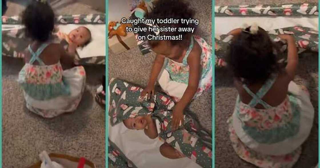 Little girl attempts to use baby sister as Christmas present Little girl attempts to use baby sister as Christmas present