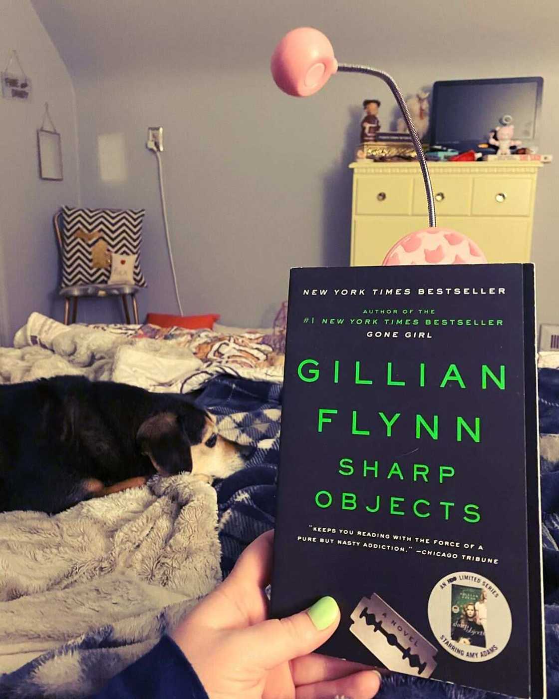 good mystery books good mystery books