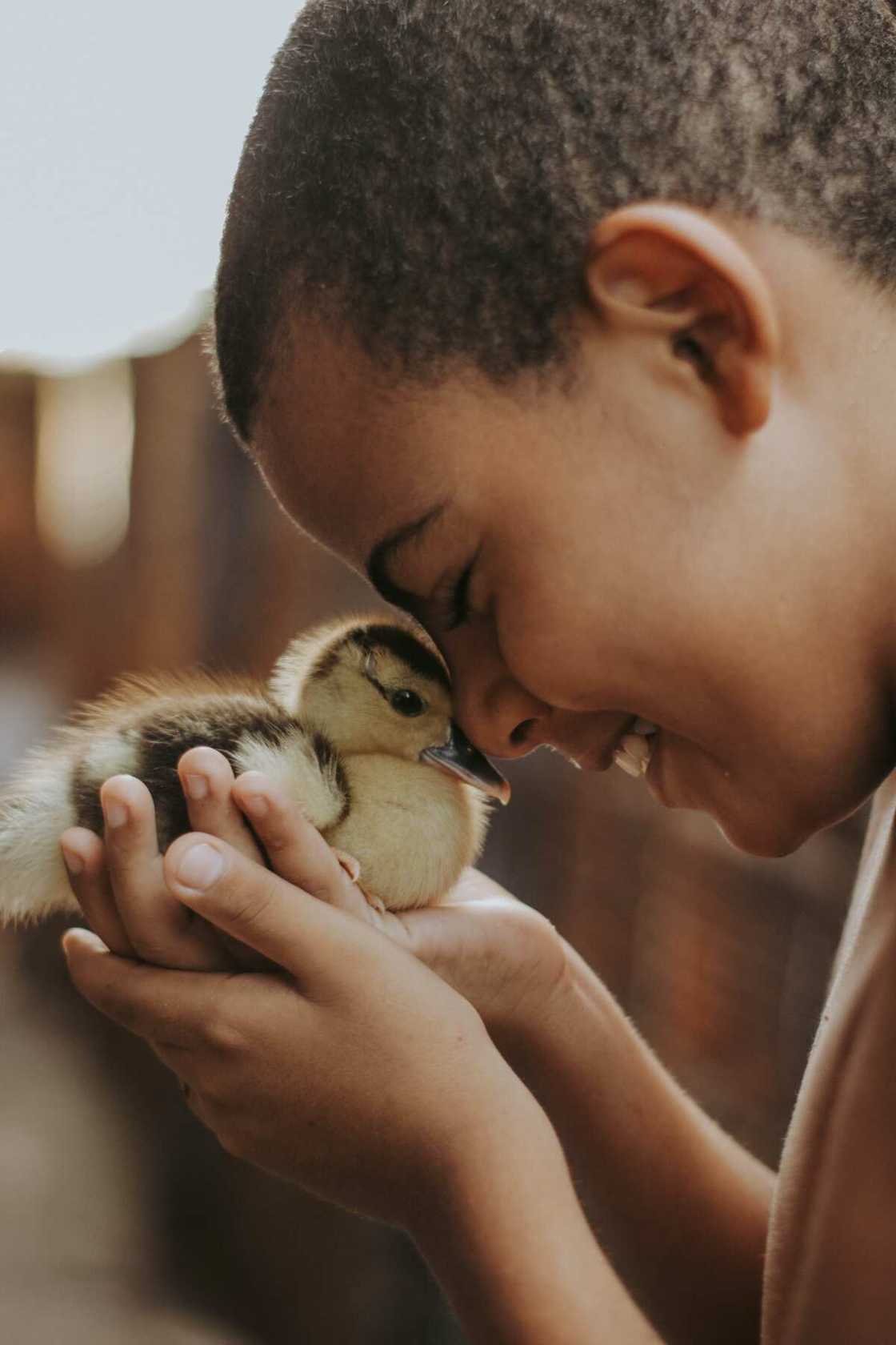 Cute duck names