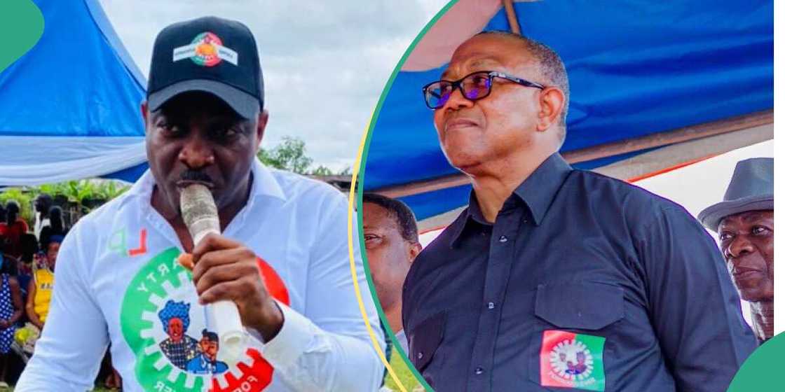 Bayelsa gubernatorial election 2023/Peter Obi/Peter Obi news/Peter Obi news today/Peter Obi news now