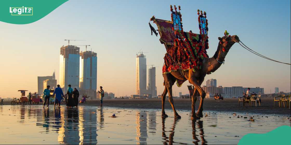 International travel just became much simpler for Pakistani passport holders thanks to improved global mobility. International travel just became much simpler for Pakistani passport holders thanks to improved global mobility.
