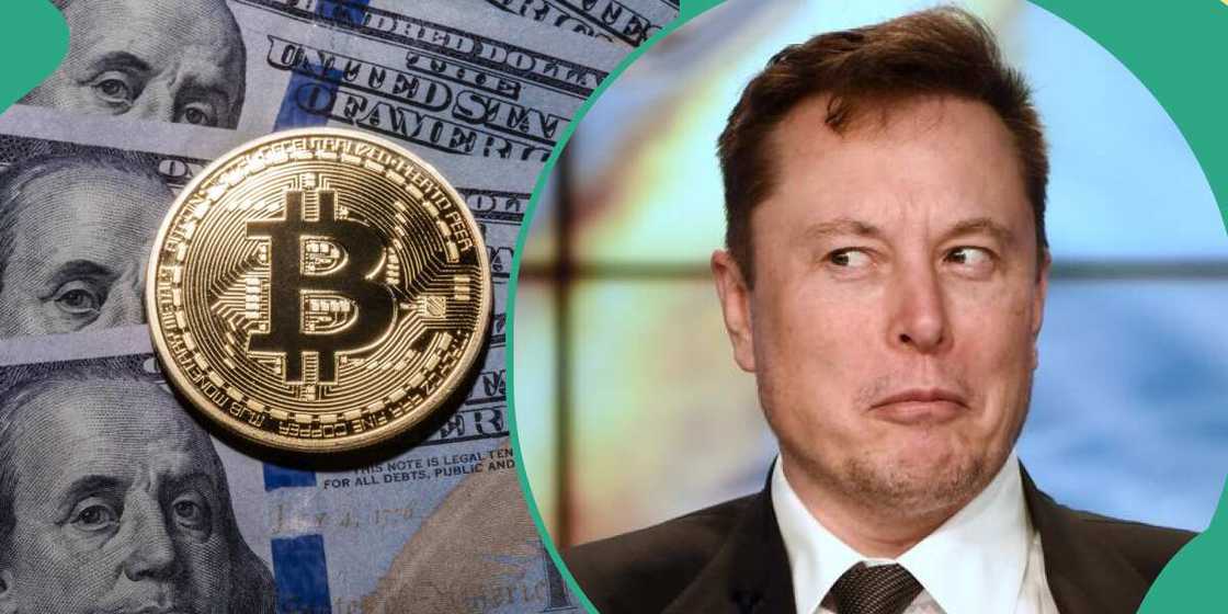 Elon Musk, Bitcoin Elon Musk, Bitcoin