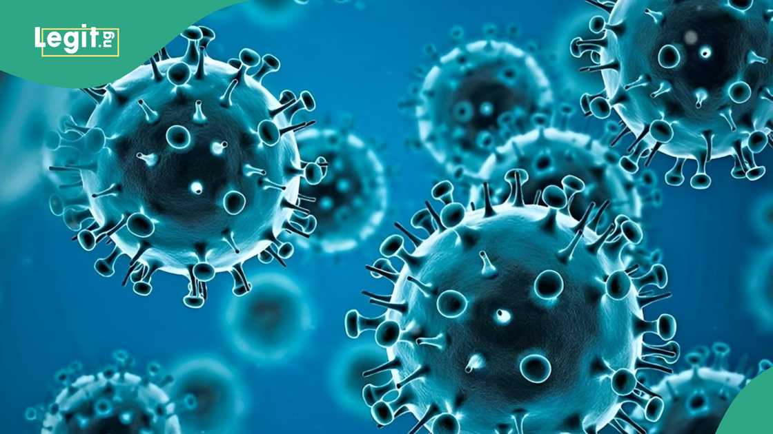 Man Who Predicted COVID-19 Raises Alarm Over New Health Threat Man Who Predicted COVID-19 Raises Alarm Over New Health Threat