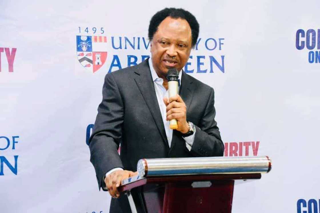 Bandits Worse Security Risk than IPOB, Sunday Igboho - Shehu Sani Bandits Worse Security Risk than IPOB, Sunday Igboho - Shehu Sani