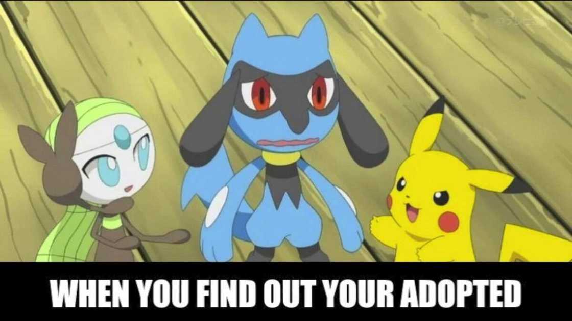 Pikachu meme face Pikachu meme face