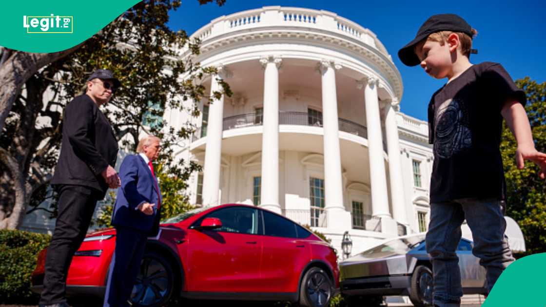 The names of Elon Musk's children has sparked curiosity The names of Elon Musk's children has sparked curiosity