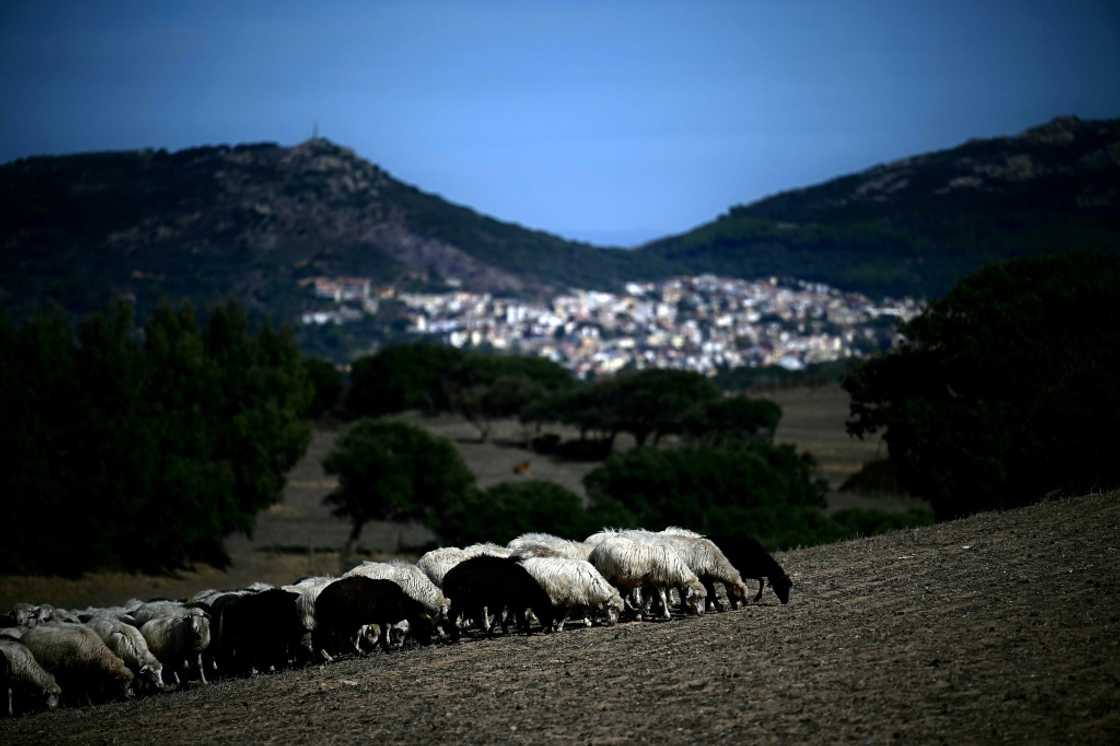 Experts say flocks need to be vaccinated earlier in the year