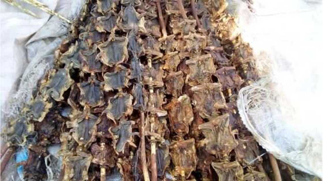 Hotunan yadda ake tsiren naman Kwado a Abuja Hotunan yadda ake tsiren naman Kwado a Abuja