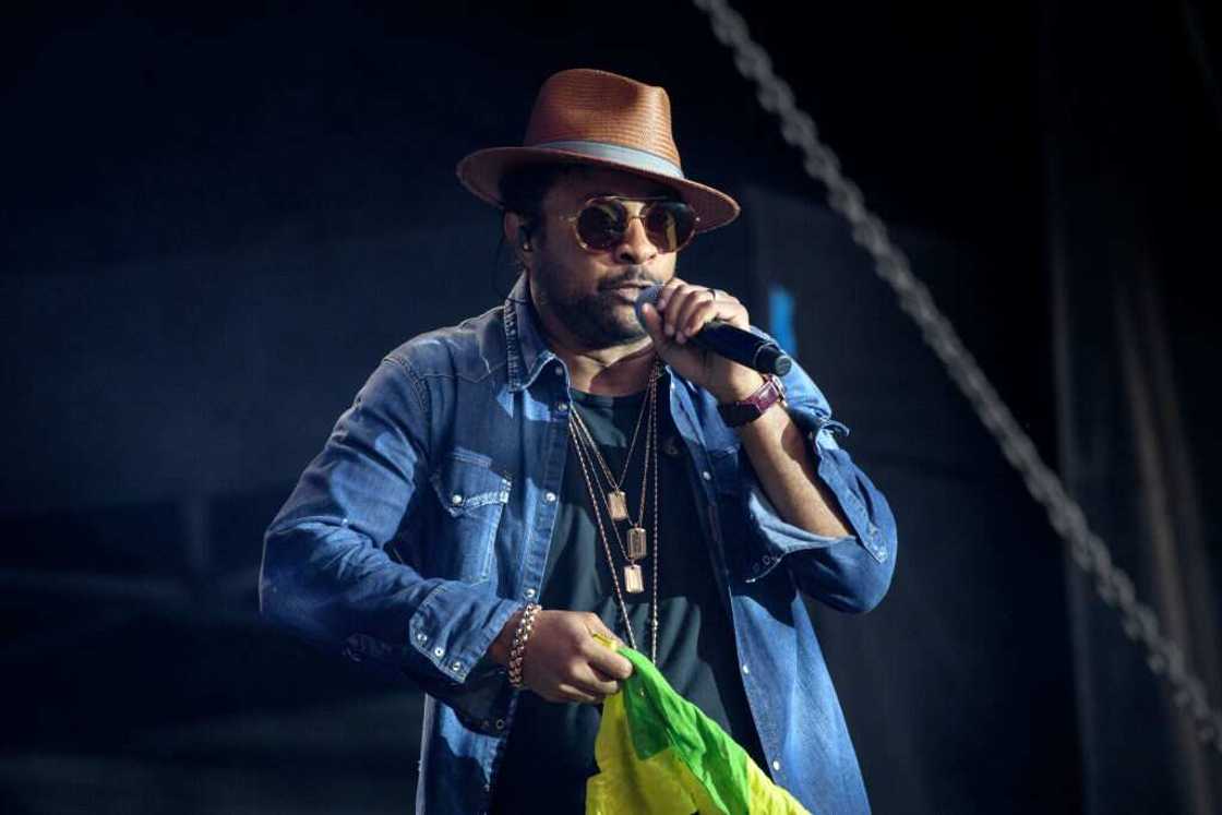 Shaggy singer Shaggy singer