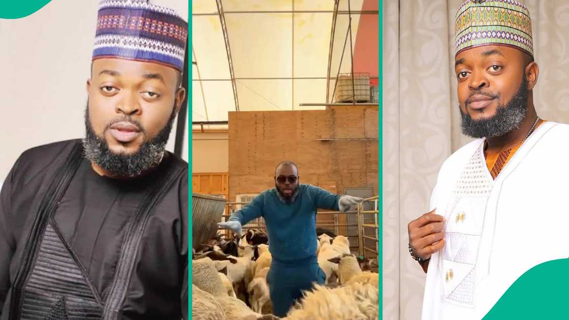 Yomi Gold's video selling goat in US Yomi Gold's video selling goat in US