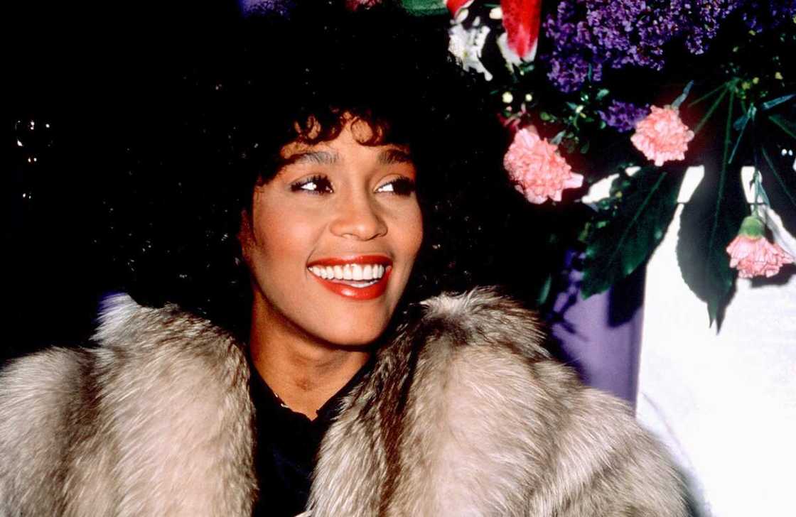 Whitney Houston biographie Whitney Houston biographie