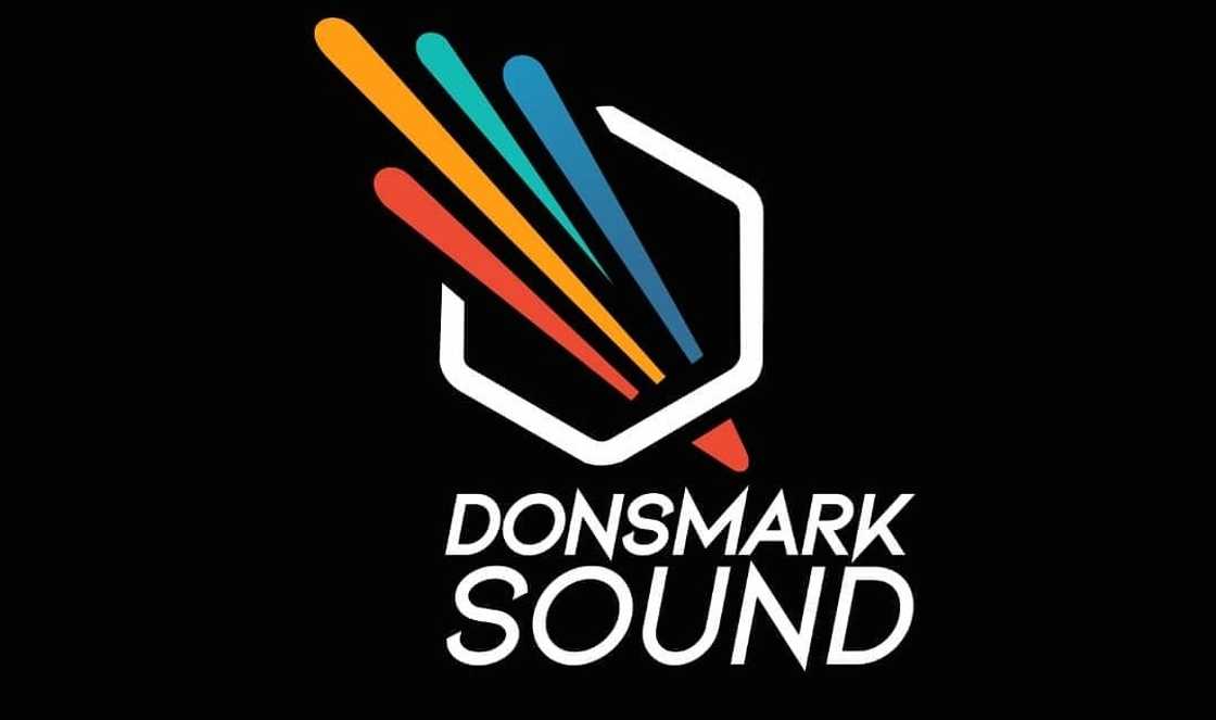Donsmark Sound logo Donsmark Sound logo
