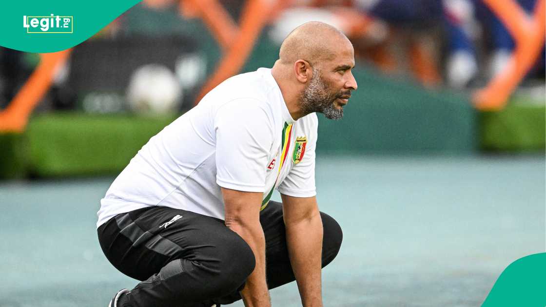Eric Chelle has been appointed as coach of the Super Eagles of Nigeria Eric Chelle has been appointed as coach of the Super Eagles of Nigeria