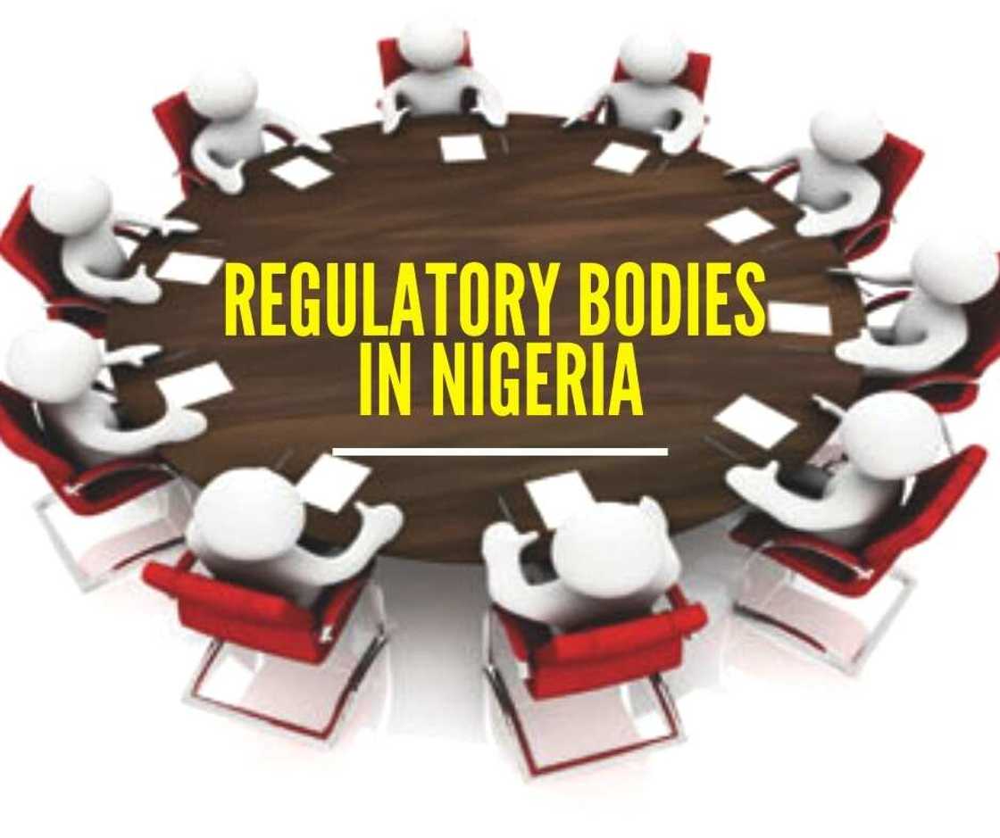 Regulatory Bodies in Nigeria and Their Functions Regulatory Bodies in Nigeria and Their Functions