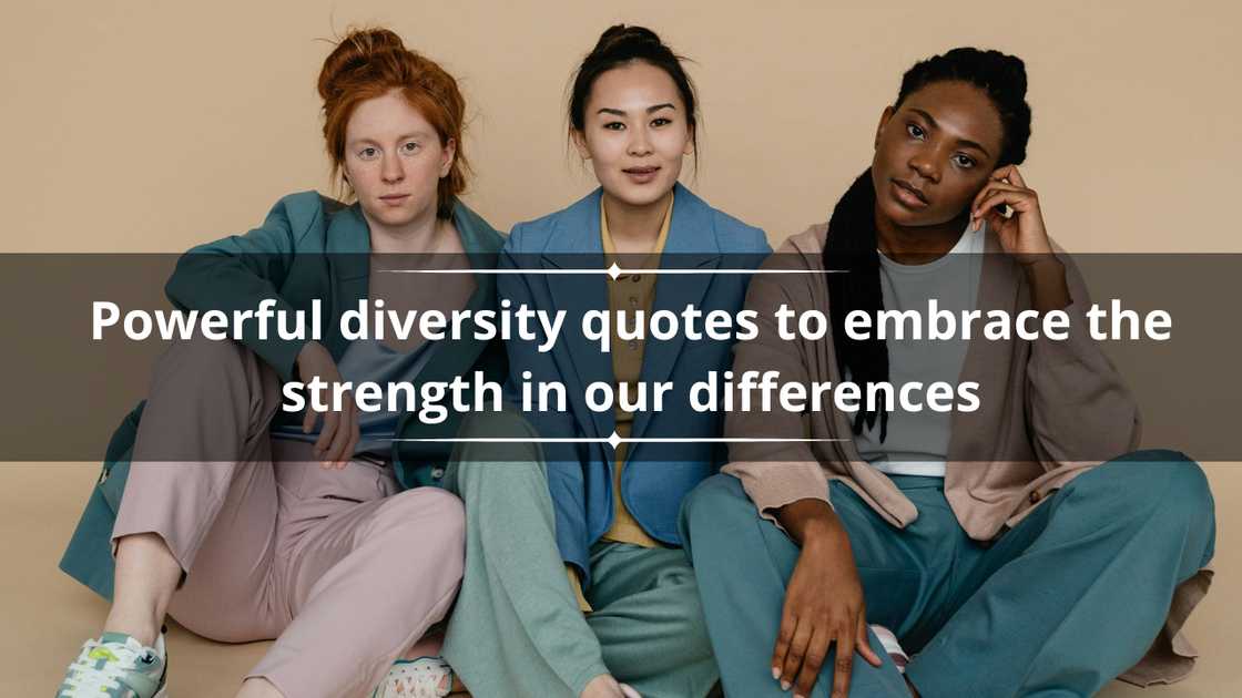 Powerful diversity quotes