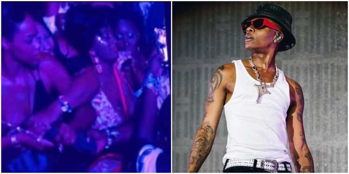 Wizkid: Ladies and mane fight over singer's jacket, Wizkid at Afro Nation Wizkid: Ladies and mane fight over singer's jacket, Wizkid at Afro Nation