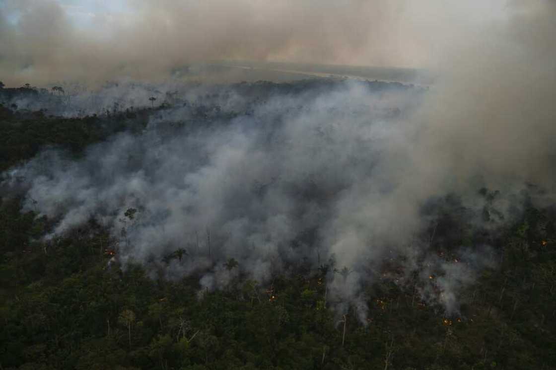 Environmentalists accuse Brazilian President Jair Bolsonaro of failing to protect the Amazon from deforestation Environmentalists accuse Brazilian President Jair Bolsonaro of failing to protect the Amazon from deforestation