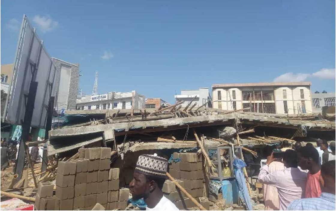 Gini A Kano Gini A Kano