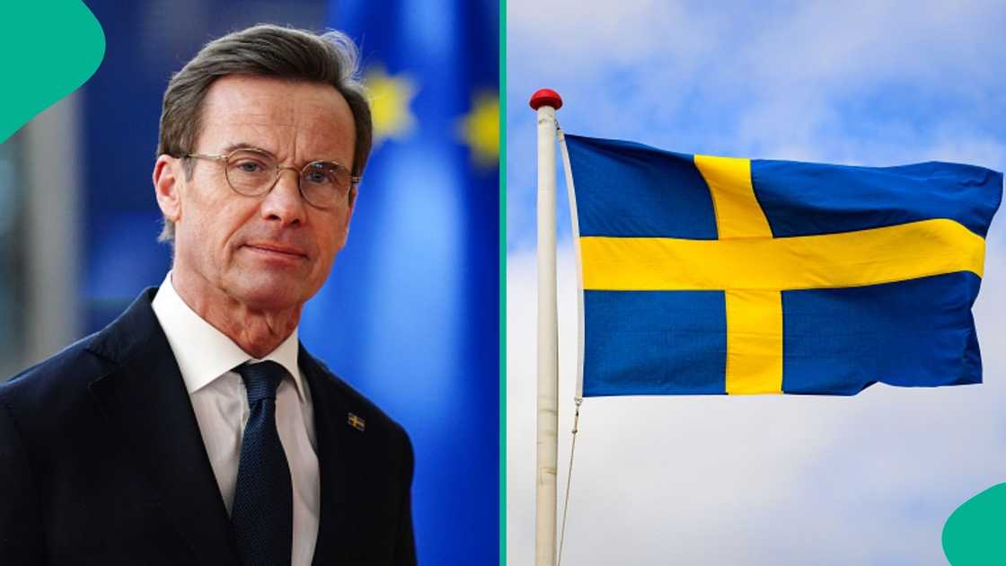 Planning to study in Sweden? Government lists 6 categories of students allowed to work without limits Planning to study in Sweden? Government lists 6 categories of students allowed to work without limits