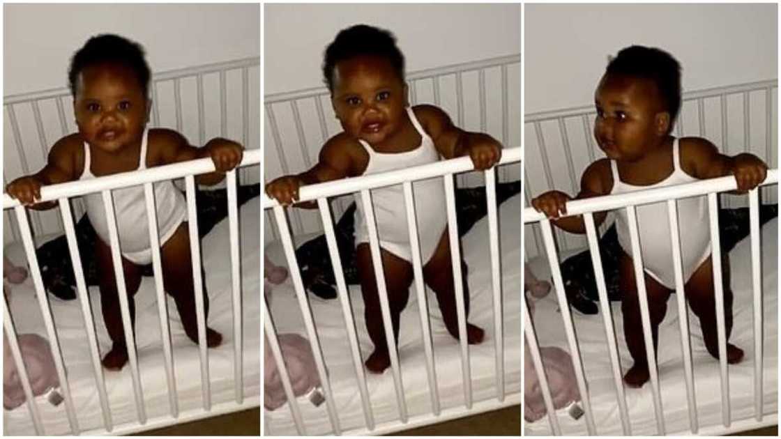 A collage showing the baby in her cot. Photo source: Daily Mail A collage showing the baby in her cot. Photo source: Daily Mail
